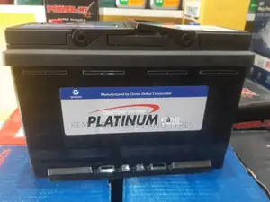 15 Plates Platinum Batteries From South Korea