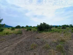 8 Acres of Land for Sale at the Motorway One Acre TDC