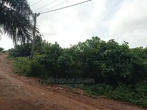 A Genuine 1 Plot of Land for Sale at Brekuso