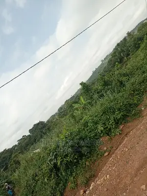A Genuine 1 Plot of Land for Sale at Brekuso