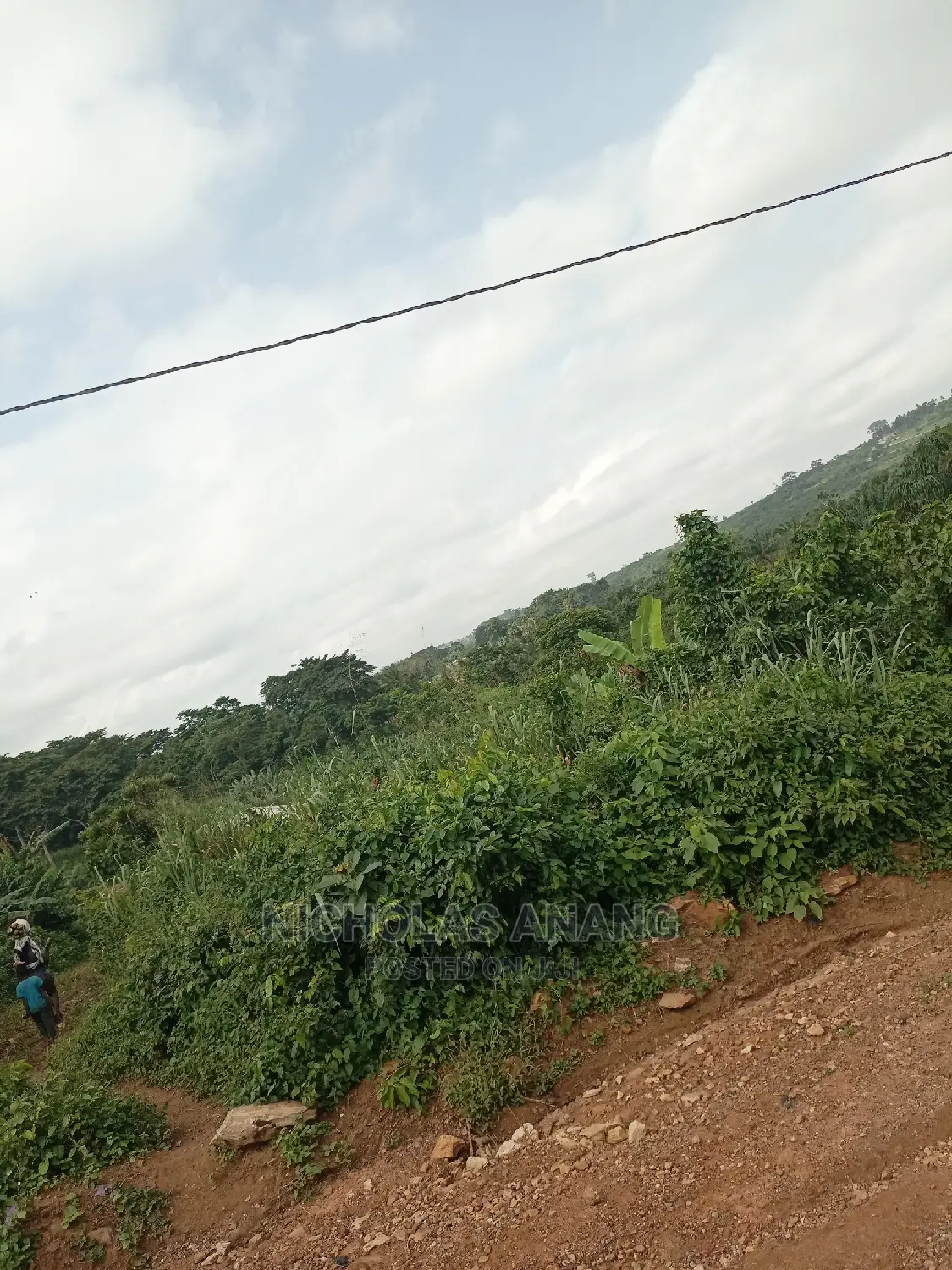 A Genuine 1 Plot of Land for Sale at Brekuso