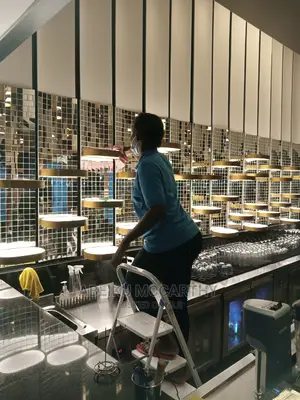 Cleaning Service