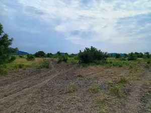 50acres of Land Available for Sale at Akuse