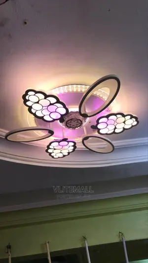 Elegant Ceiling Lights