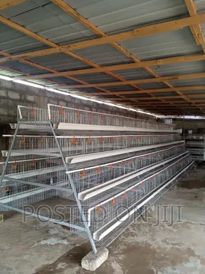 Poultry Chicken Cage