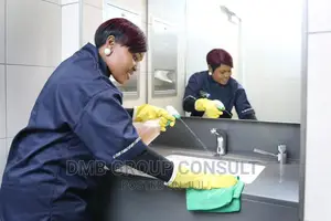 Office to Office Cleaners