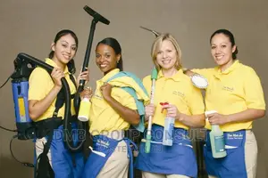 Your Maids, Your Cleaners
