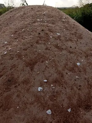 River Sand Supply
