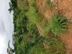 Plots for Sale at Agric Hill Top