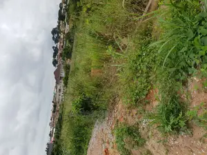 Plots for Sale at Agric Hill Top