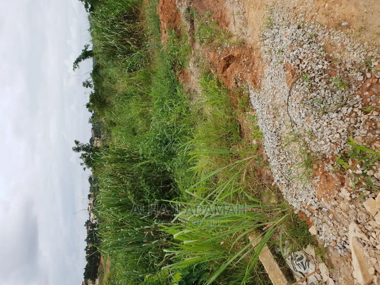 Plots for Sale at Agric Hill Top