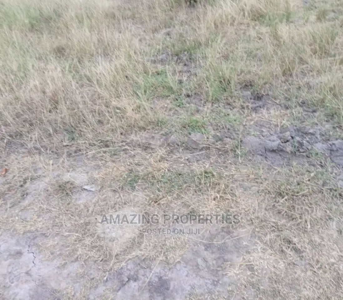 1 Plot of Land at Cantonment