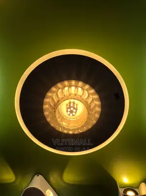 Indoor Wall / Ceiling Light