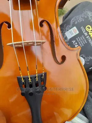 Professional Violin Strings