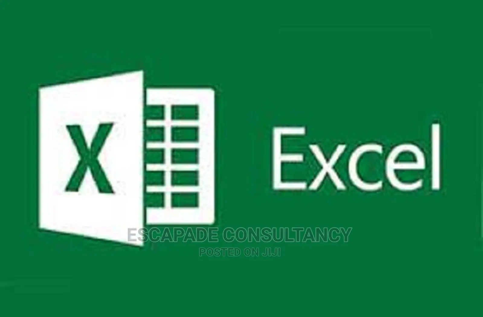 Microsoft Office Suit Training