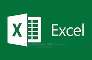 Microsoft Office Suit Training