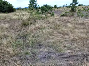 4 Plots of Land for Sale at Peduase Lodge