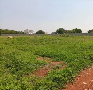 50 Acres of Land Abokobi