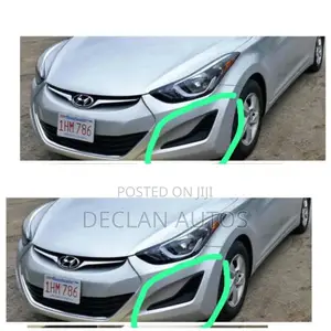 Hyundai Elantra 2016 Foglight Cover