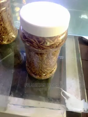 Worms Feed