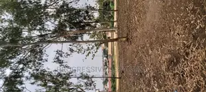 Tech - Ayigya