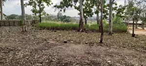 Tech - Ayigya