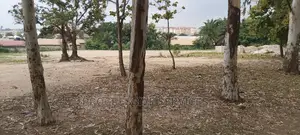 Tech - Ayigya