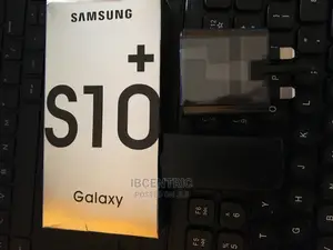 Samsung S10+ Type C Charger