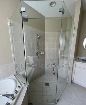 Frameless Shower Case and Doors