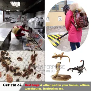 Indoor and Outdoor Fumigation Services