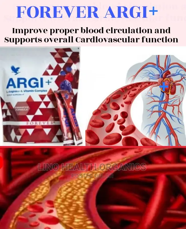 Blood Circulation Overall Cardiovascular Function Support