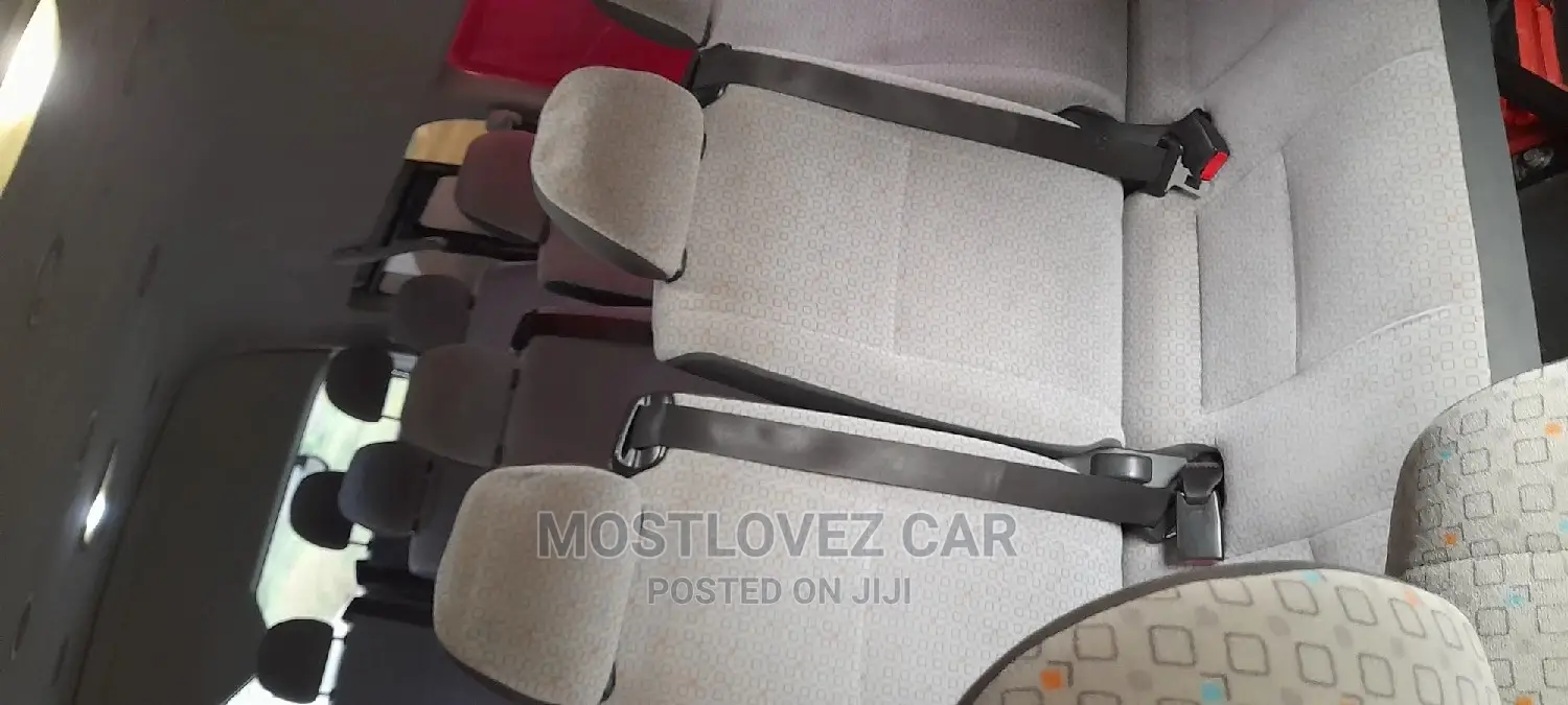 Car Rentals Rent Minivans for Tours, Business Trips, Trips