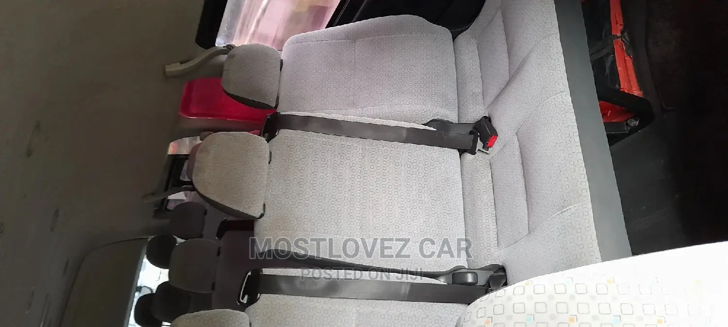 Car Rentals Rent Minivans for Tours, Business Trips, Trips