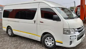Car Rentals Rent Minivans for Tours, Business Trips, Trips