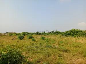 60acres of Main Roadside Land for Sale at Tsopoli Aflao