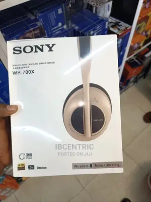 Sony Wireless Headphone