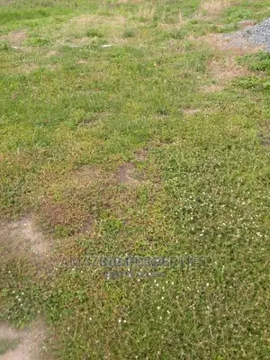Acres of Land at Tsopoli
