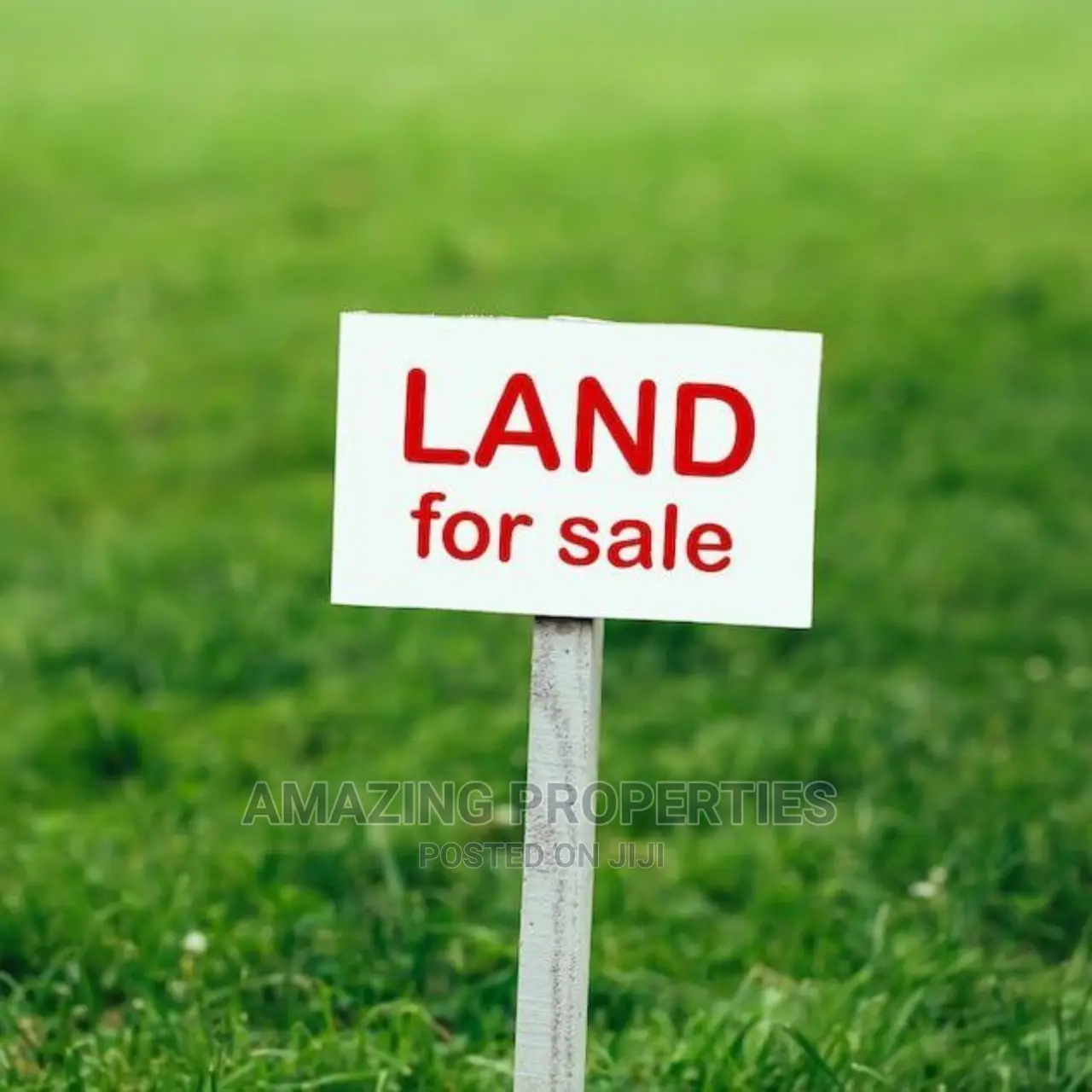 133 Acres for Auction at Dawa