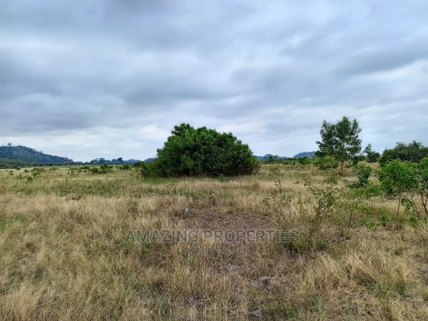 For Sale
10 Plots of Land Forsale at Tseaddo.