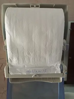 Paper Towel ( Tork Paper Size)