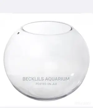 Bigger Aquarium Glass Bowls