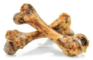 Dog Femur Toy Bone