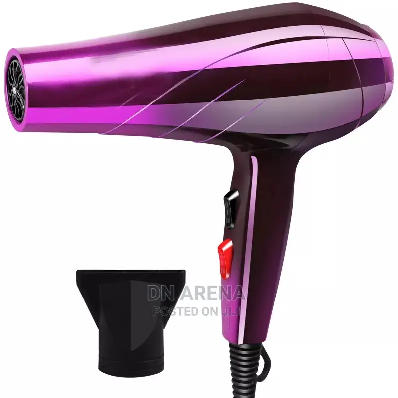 Professional 220v and 1000w Hairdryer