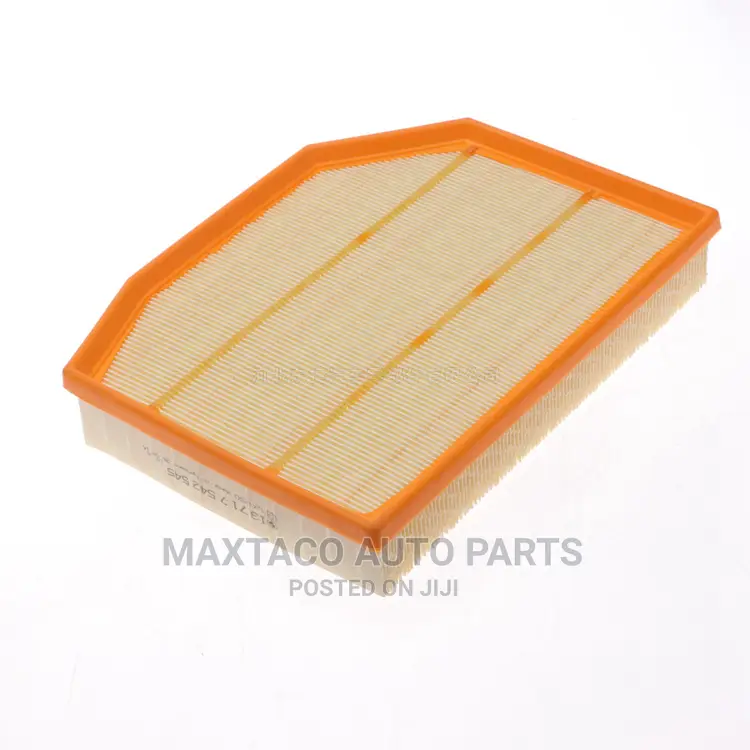 Air Filter for BMW X3, Z4 2006-2009 ()