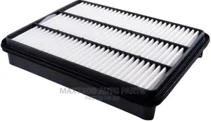 Eurostar 17801-50040 Air Filter for Toyota, Lexus