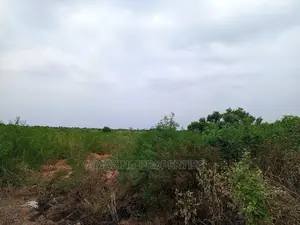 Spintex Behind Regimanuel (Bounded With Regimanuel) 50 Acres