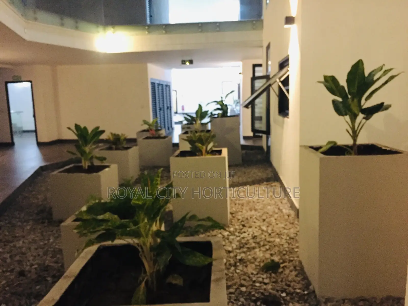 Royal City Horticulture Is Here to Serve You Best Gardenwork