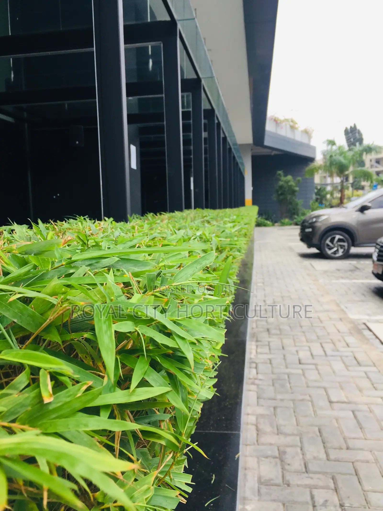 Royal City Horticulture Is Here to Serve You Best Gardenwork