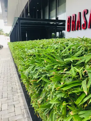 Royal City Horticulture Is Here to Serve You Best Gardenwork