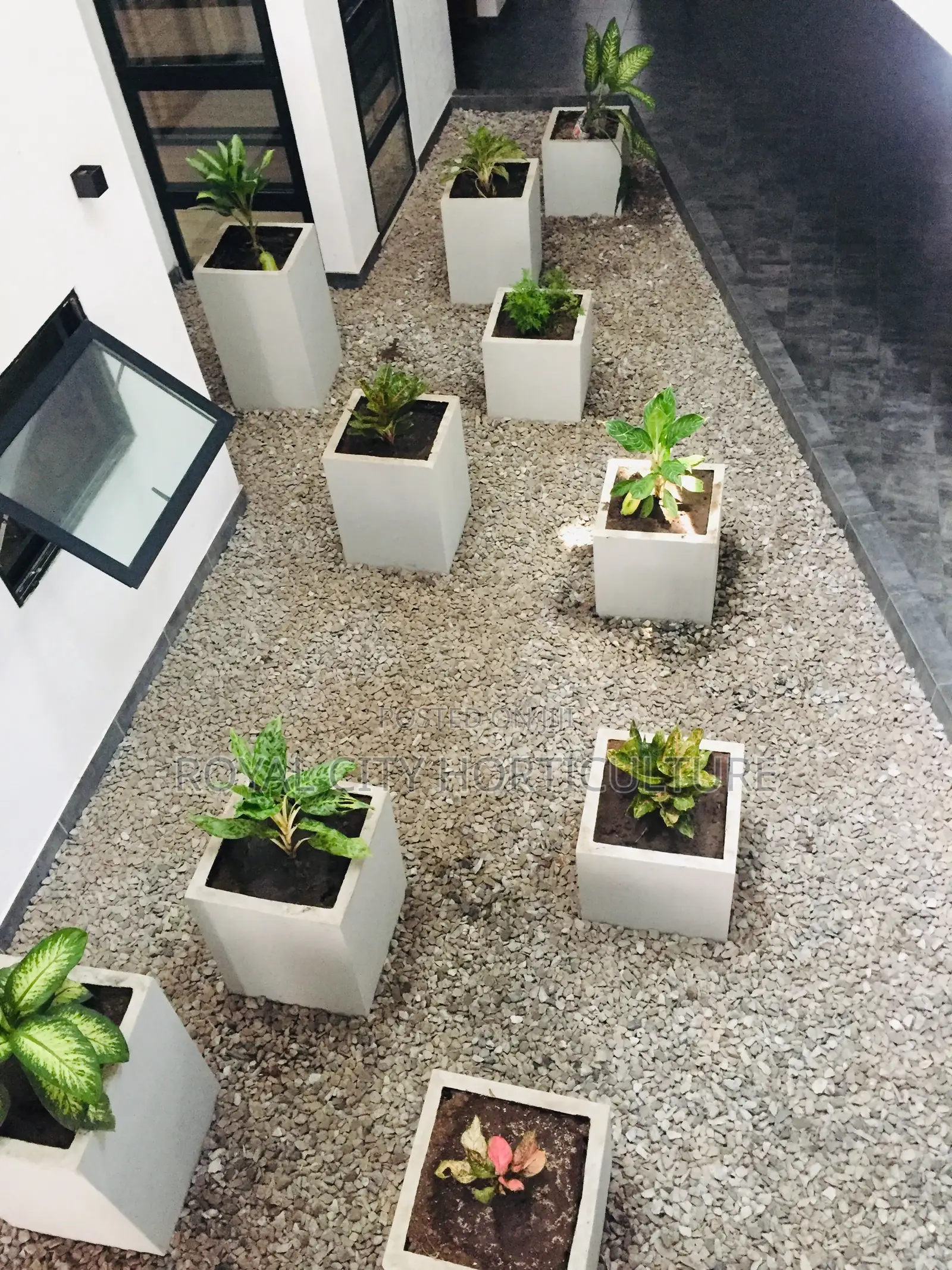 Royal City Horticulture Is Here to Serve You Best Gardenwork
